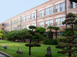 부설초등학교 개나리관 